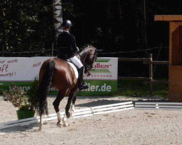 Reitturnier Ditzingen 2023