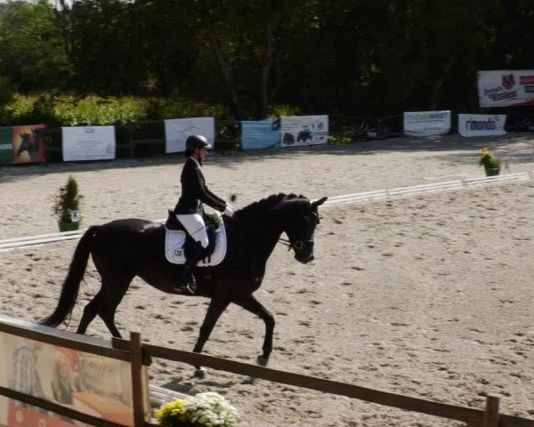 Reitturnier Ditzingen 2023