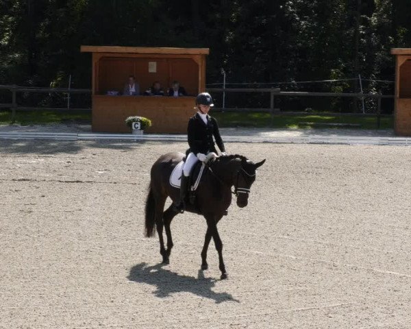 Reitturnier Ditzingen 2023