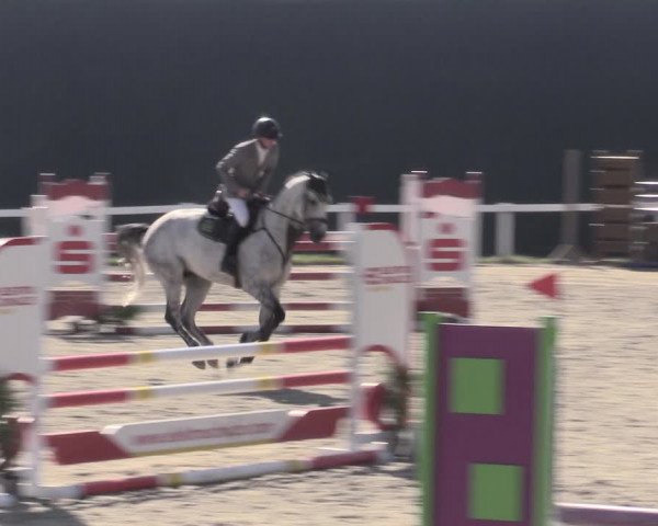 Reitturnier Bad Schmiedeberg 2023