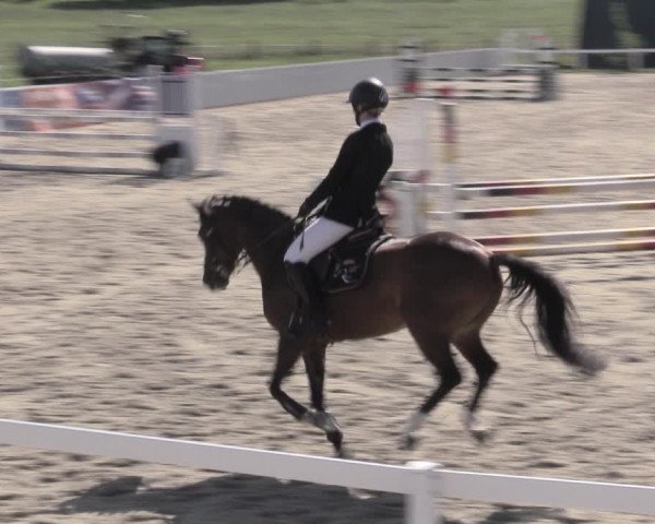 Reitturnier Bad Schmiedeberg 2023