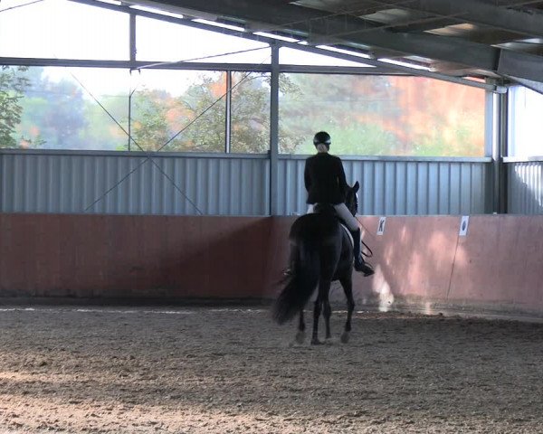 Reitturnier Marl, Hof Ostgathe 2023