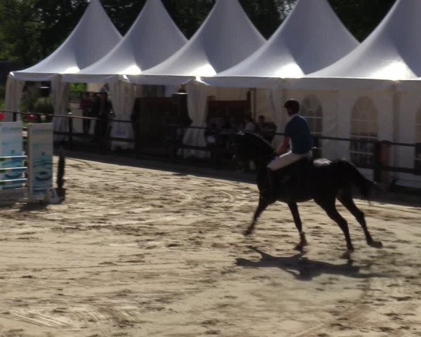 Reitturnier Albersloh 2023