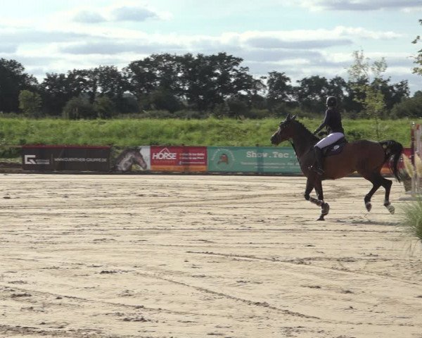 Reitturnier Scharnebeck 2023