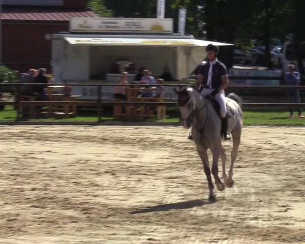 Reitturnier Albersloh 2023