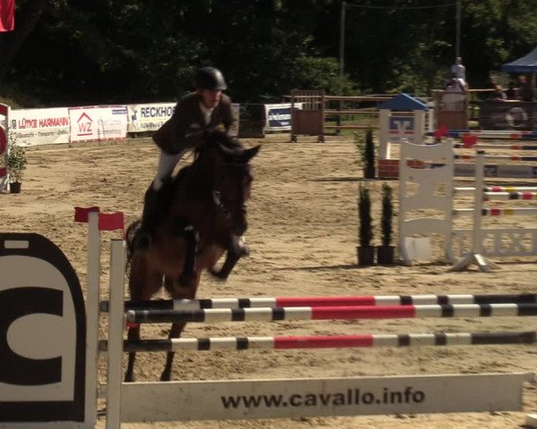 Reitturnier Albersloh 2023