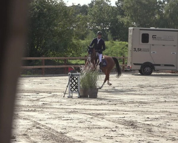 Reitturnier Scharnebeck 2023