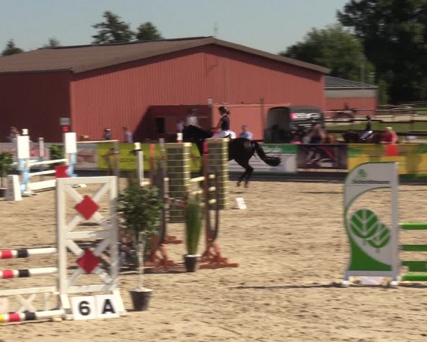 Reitturnier Marl, Hof Ostgathe 2023