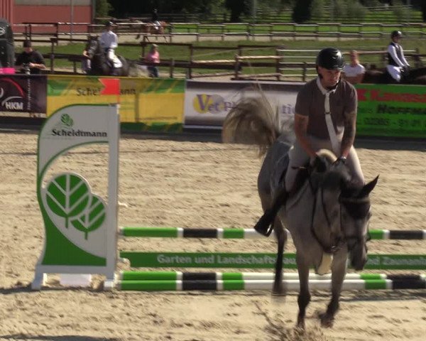 Reitturnier Marl, Hof Ostgathe 2023