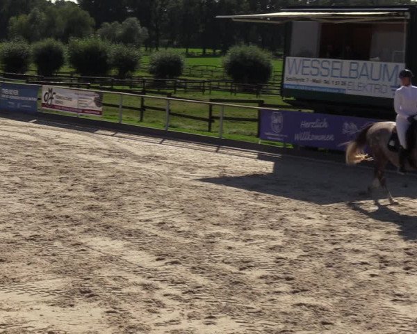 Reitturnier Marl, Hof Ostgathe 2023