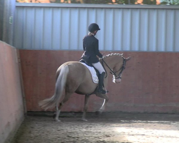 Reitturnier Marl, Hof Ostgathe 2023