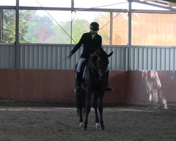 Reitturnier Marl, Hof Ostgathe 2023