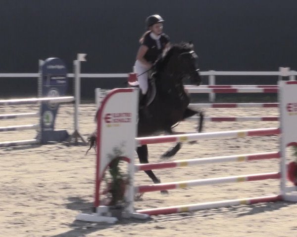 Reitturnier Bad Schmiedeberg 2023