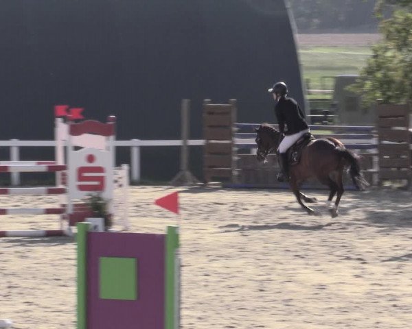 Reitturnier Bad Schmiedeberg 2023