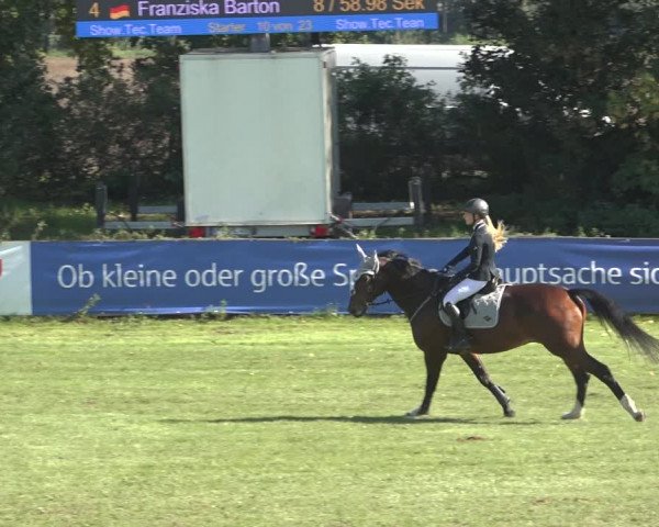 Reitturnier Scharnebeck 2023