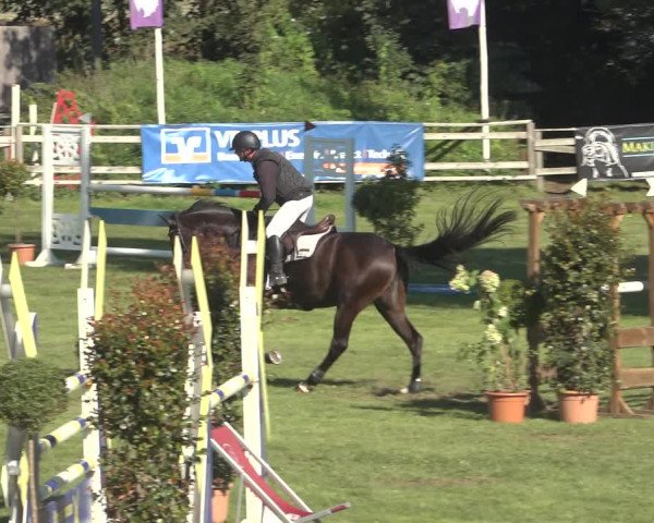 Reitturnier Scharnebeck 2023