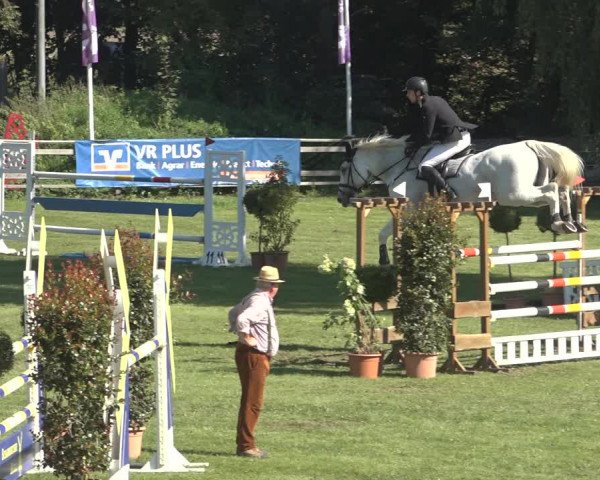 Reitturnier Scharnebeck 2023