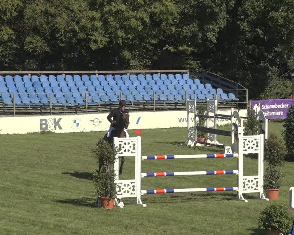 Reitturnier Scharnebeck 2023