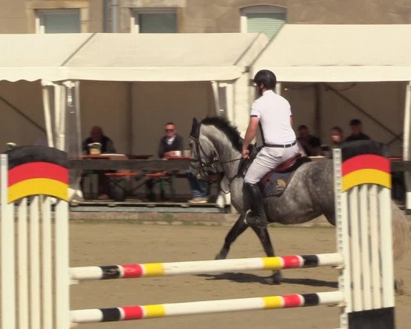 Reitturnier Buchenhof-Ibbenbüren 2023