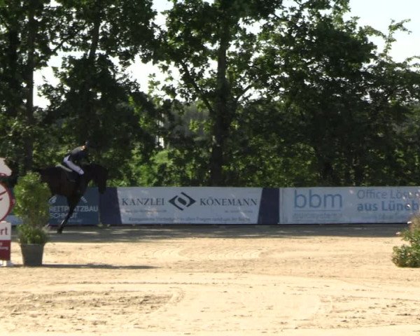 Reitturnier Scharnebeck 2023