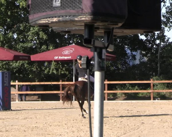 Reitturnier Scharnebeck 2023