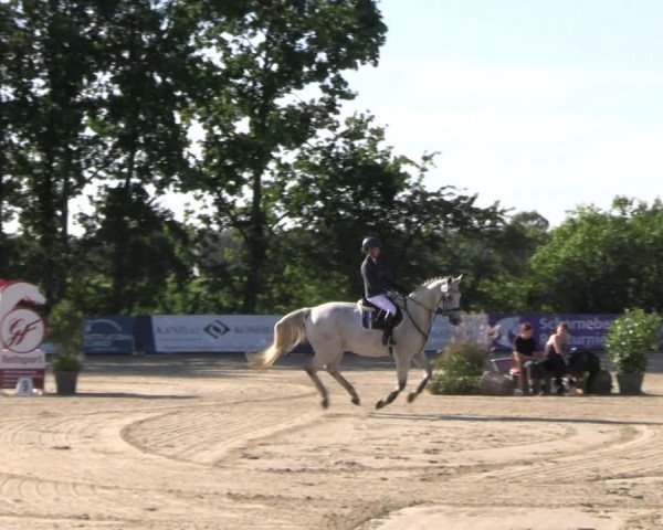 Reitturnier Scharnebeck 2023