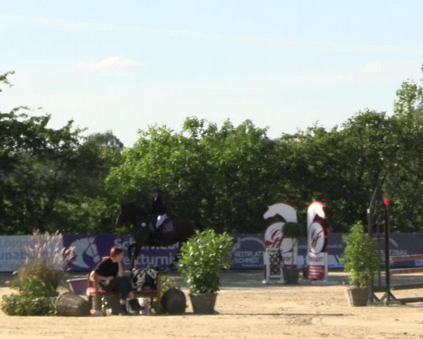 Reitturnier Scharnebeck 2023