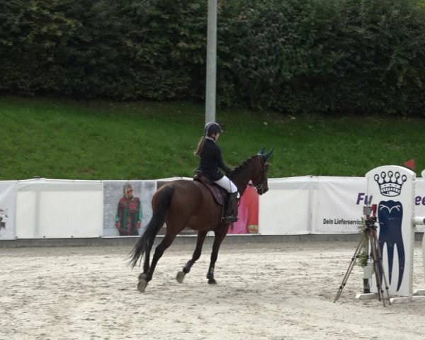 Reitturnier Leichlingen-Witzhelden 2021