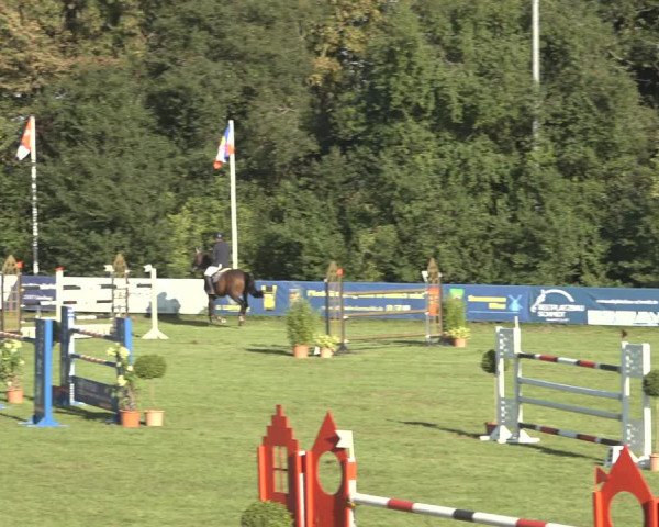 Reitturnier Scharnebeck 2023