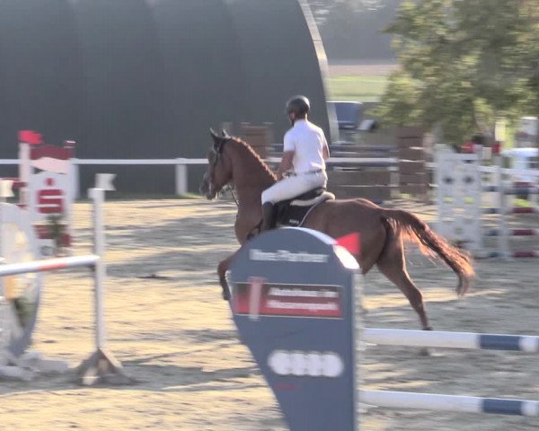 Reitturnier Bad Schmiedeberg 2023