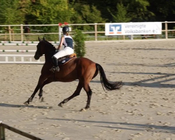Reitturnier Waldenbuch-Hasenhof 2023