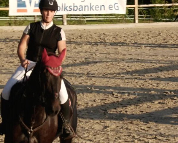 Reitturnier Waldenbuch-Hasenhof 2023