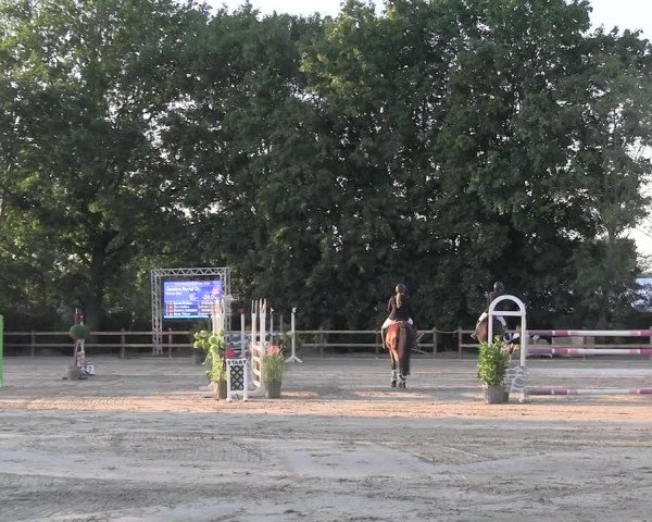 Reitturnier Scharnebeck 2023