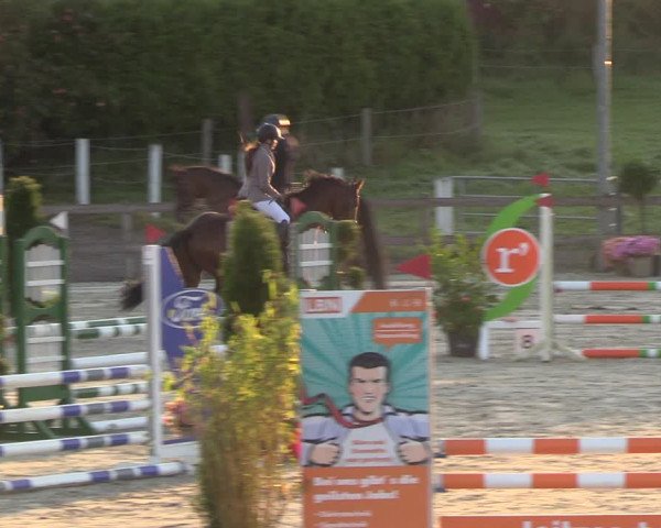 Reitturnier Loop/ Looperholz 2023