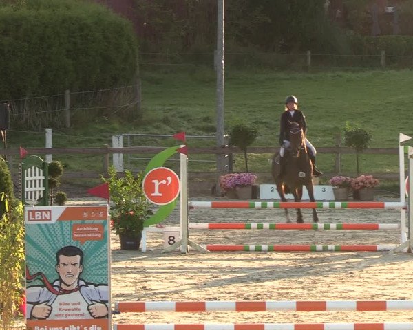 Reitturnier Loop/ Looperholz 2023