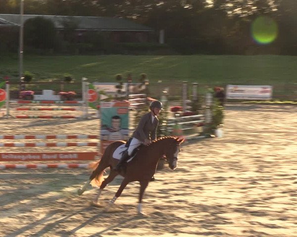 Reitturnier Loop/ Looperholz 2023