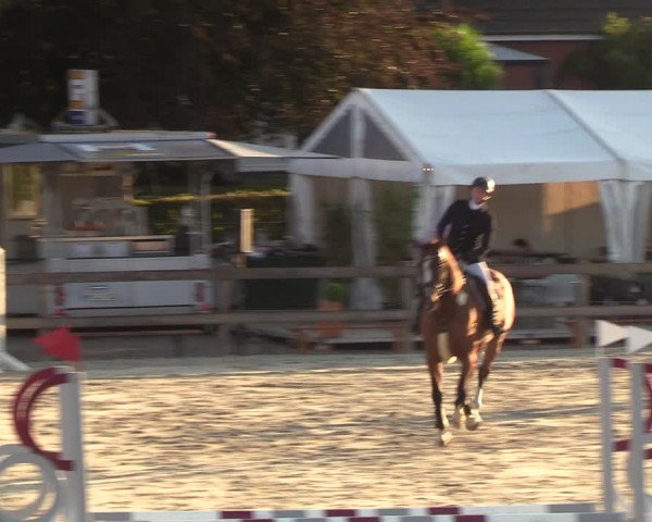 Reitturnier Loop/ Looperholz 2023