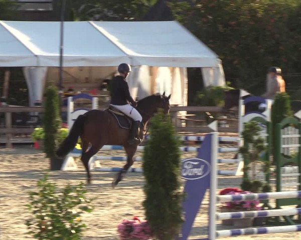 Reitturnier Loop/ Looperholz 2023