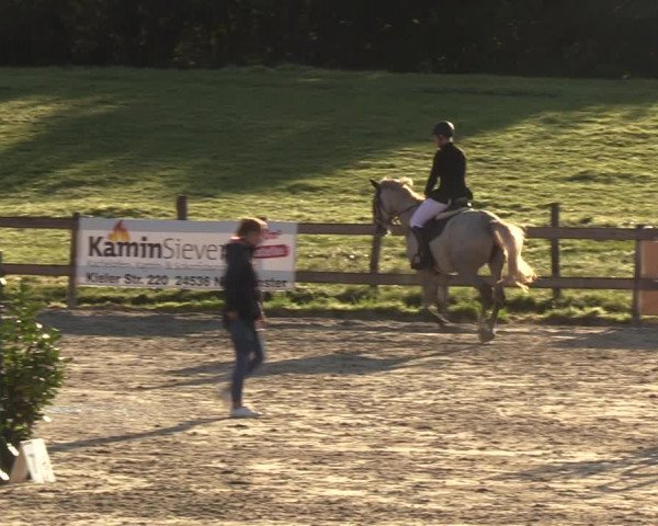 Reitturnier Loop/ Looperholz 2023