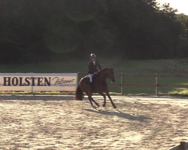 Reitturnier Loop/ Looperholz 2023