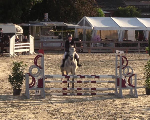 Reitturnier Loop/ Looperholz 2023