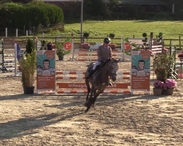 Reitturnier Loop/ Looperholz 2023
