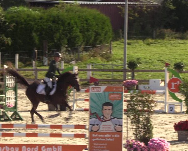 Reitturnier Loop/ Looperholz 2023