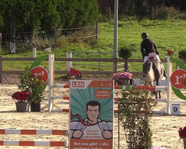 Reitturnier Loop/ Looperholz 2023