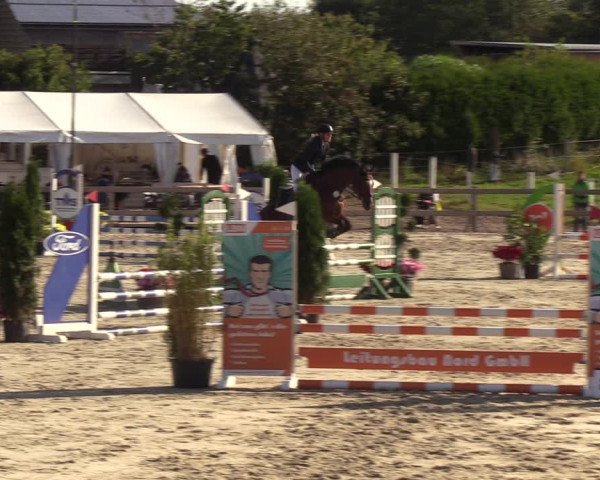 Reitturnier Loop/ Looperholz 2023