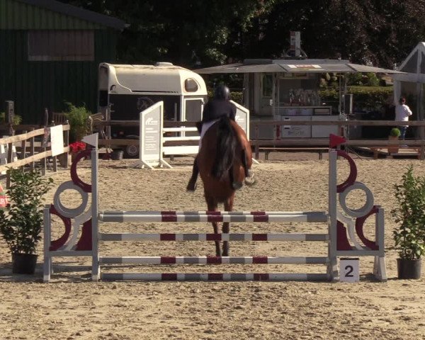 Reitturnier Loop/ Looperholz 2023
