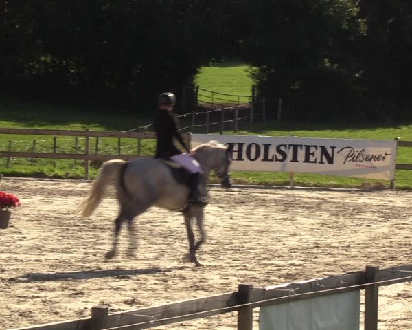 Reitturnier Loop/ Looperholz 2023
