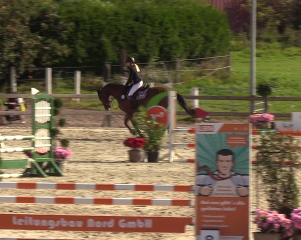 Reitturnier Loop/ Looperholz 2023