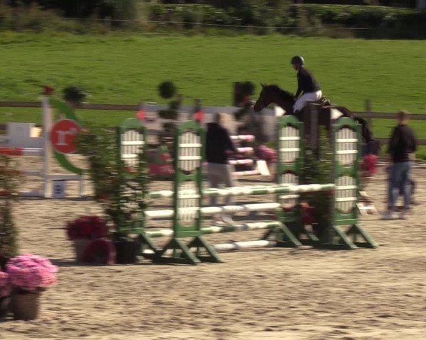 Reitturnier Loop/ Looperholz 2023