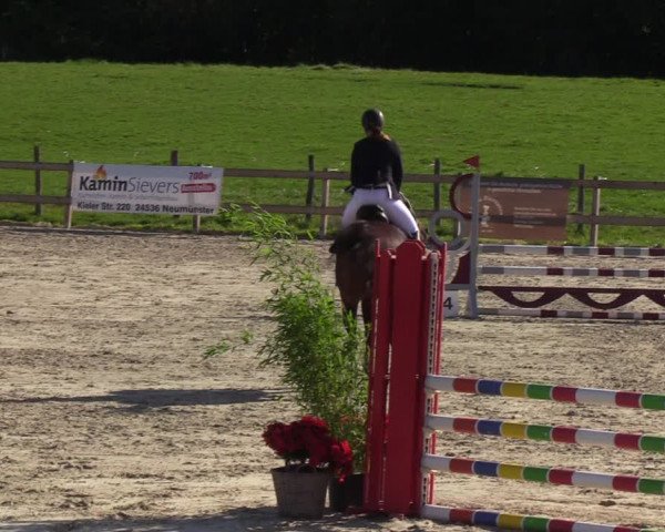 Reitturnier Loop/ Looperholz 2023
